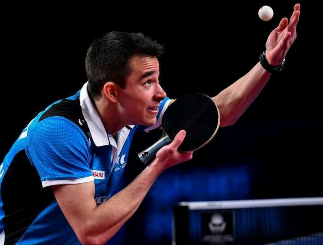 这一决定与 这一决定与